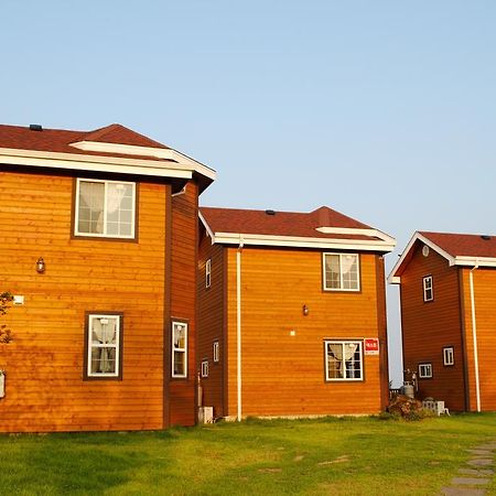 Sweetsalt Villa Seogwipo Eksteriør bilde